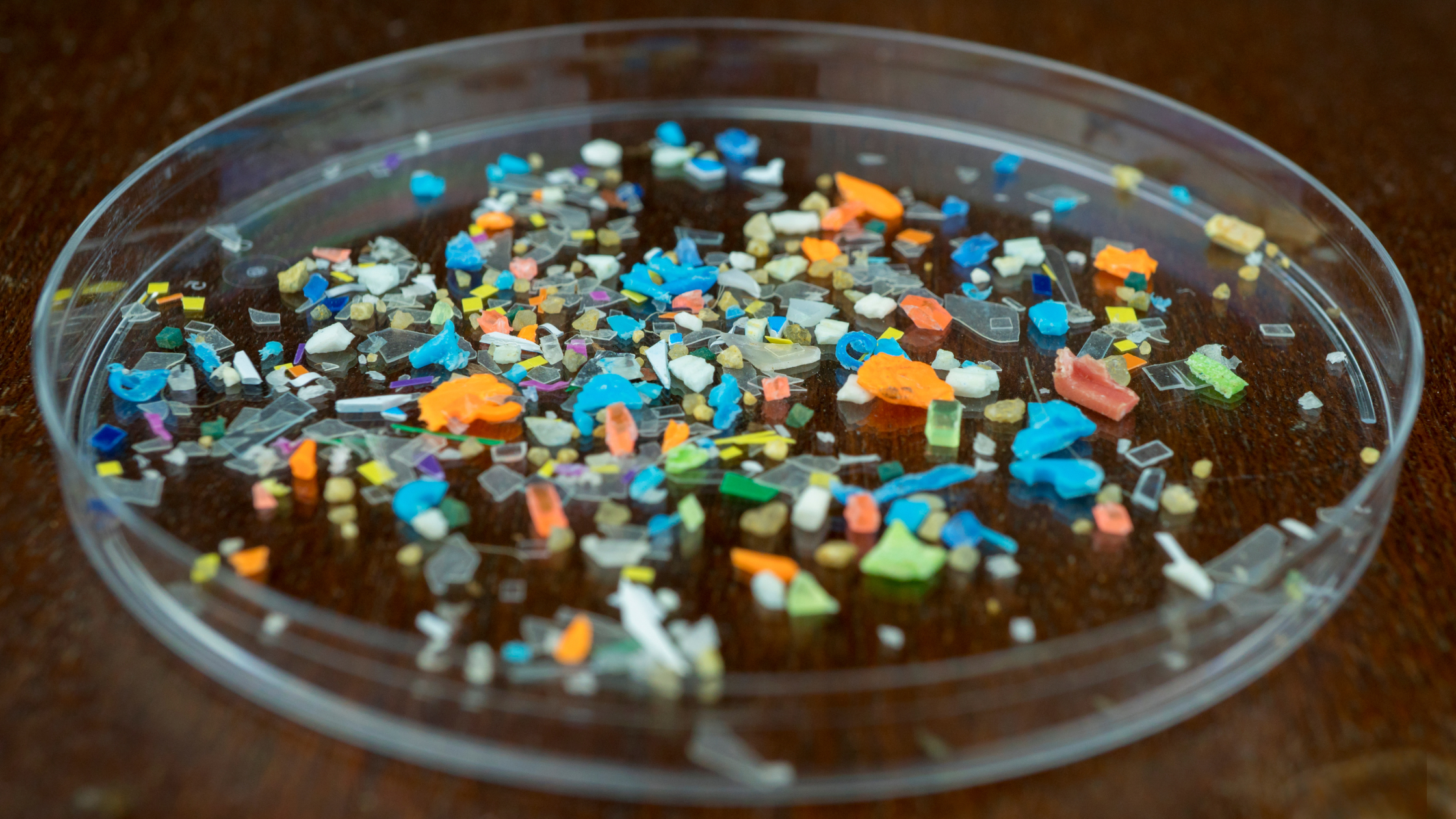 microplastics in laboratory
