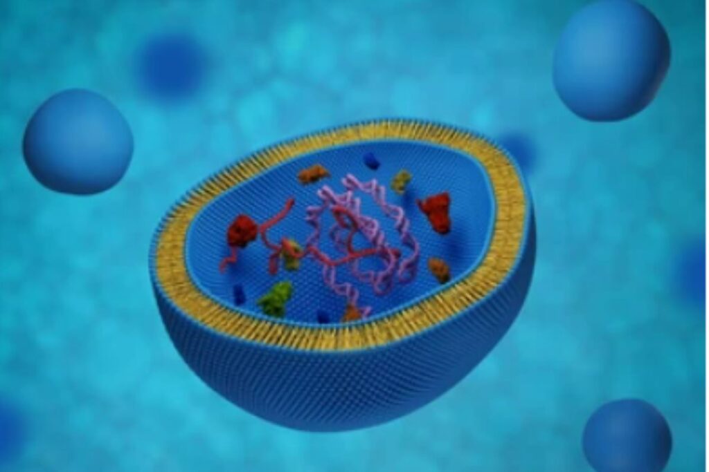an image representation of exosome regenerative medicine 