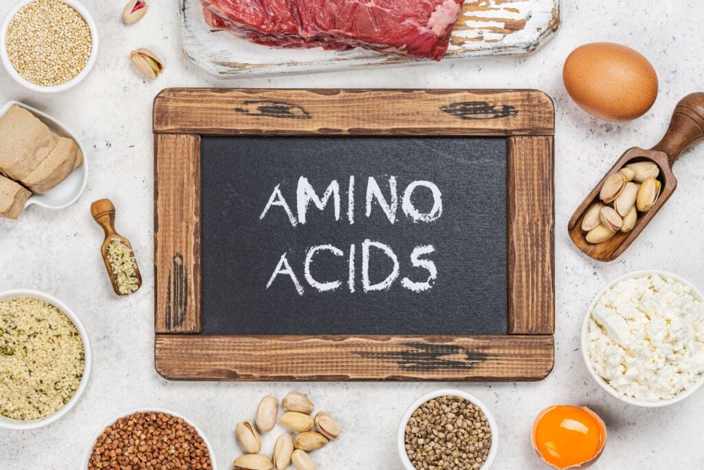 Amino Acids and the Brain 