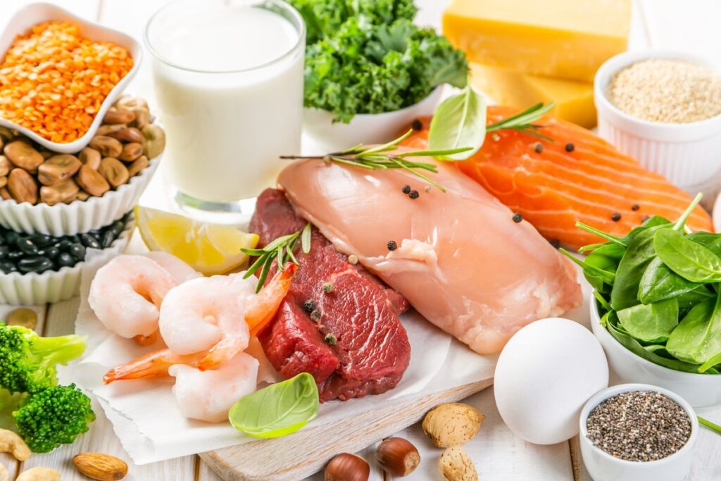 The Importance of Balanced Protein Intake 
